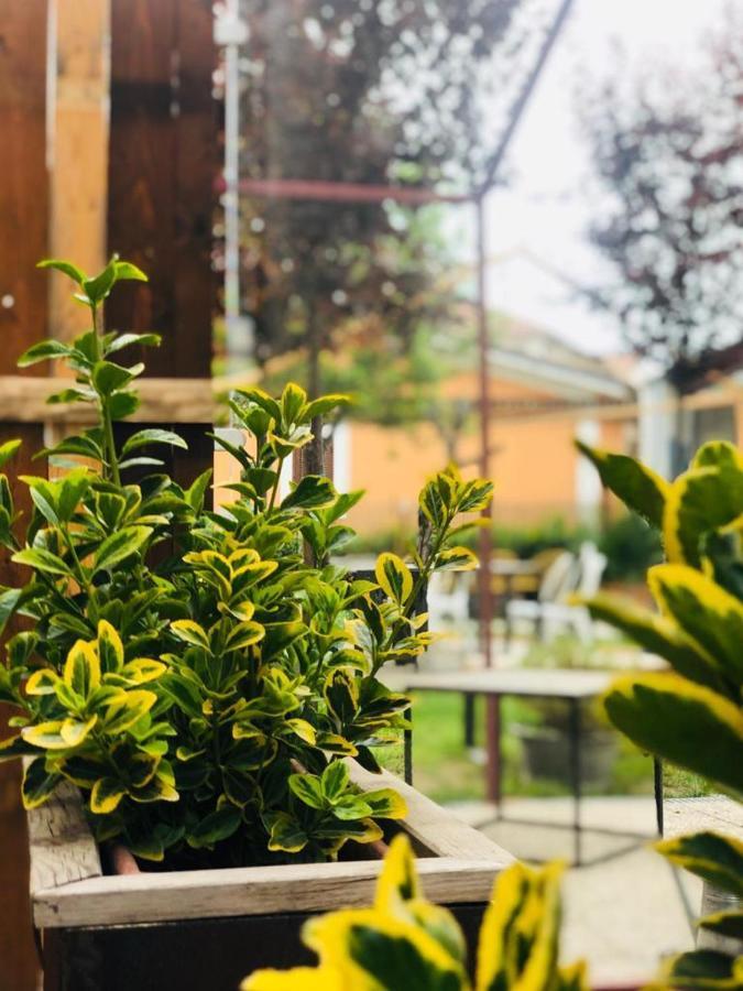 Dolce Nera B&B Narni Scalo Buitenkant foto